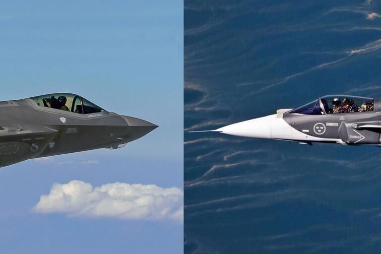 F-35 and Gripen fighter jets