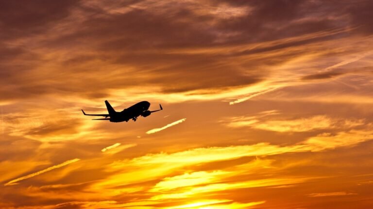 FAA Halts Flights at El Paso Airport Over Security Concerns