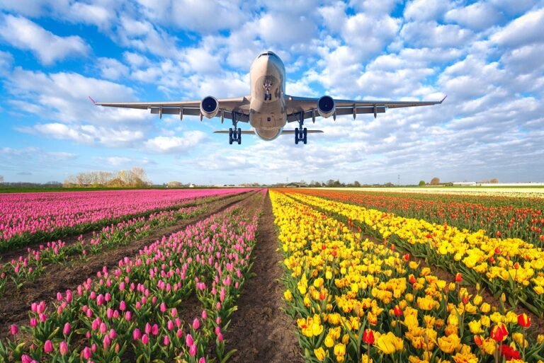 Aircraft flying over flowers