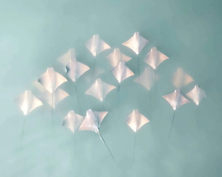 This top drone photographer STILL flies around her ceiling fan This top drone photographer STILL flies around her ceiling fan