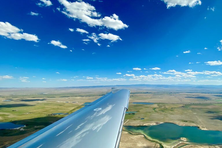 When Should You Use Trim?