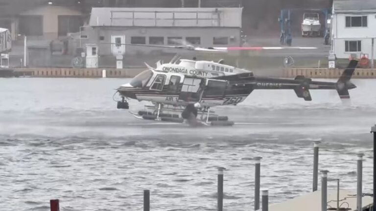 Dog rescued by police helicopter after falling in New York river