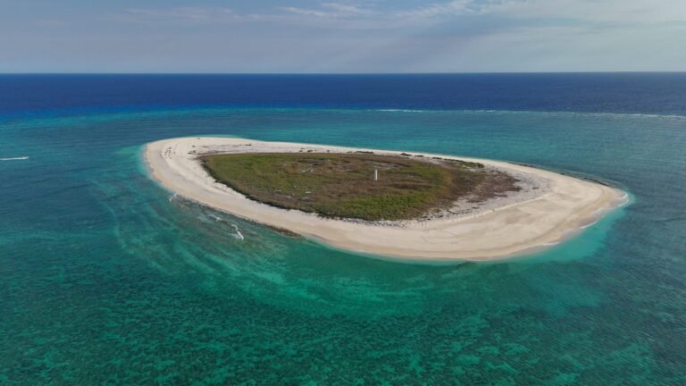 Drone Mouse Eradication Project Tests on Browse Island