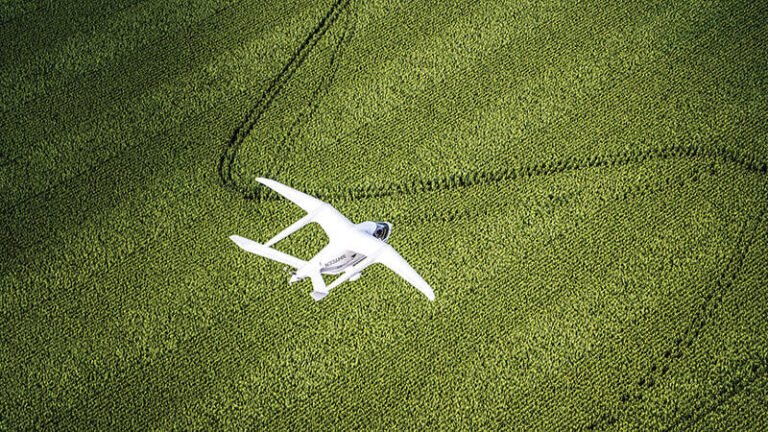 Beta Alia flying over field