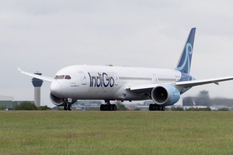IndiGo CEO steps down as leader of India’s largest airline IndiGo CEO steps down as leader of India’s largest airline
