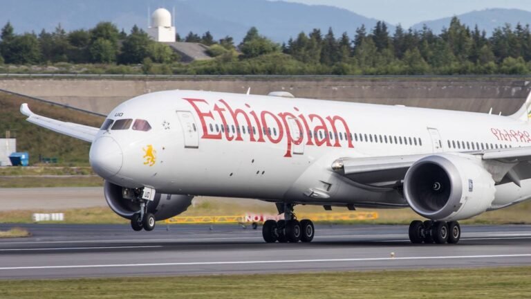 Africa's Largest Boeing 787 Operator Firms Up 6 More Dreamliners