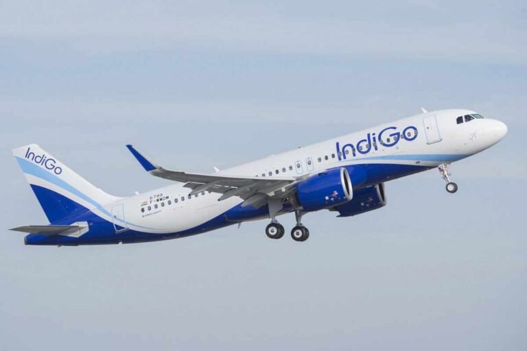 IndiGo names former British Airways chief Willie Walsh as new CEO IndiGo names former British Airways chief Willie Walsh as new CEO