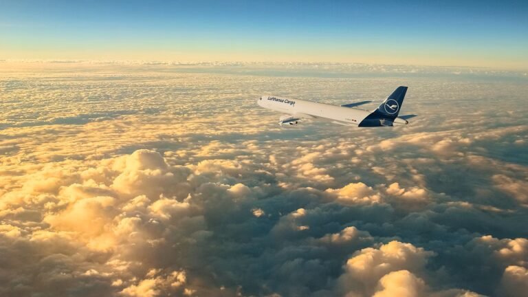 Lufthansa Cargo hopes to operate two thirds of flights despite strikes Lufthansa Cargo A321P2F