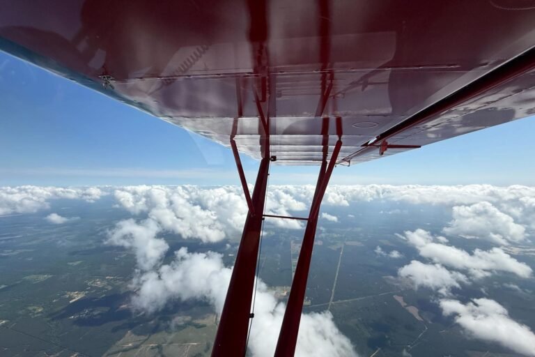 [Credit: Cayla McLeod]