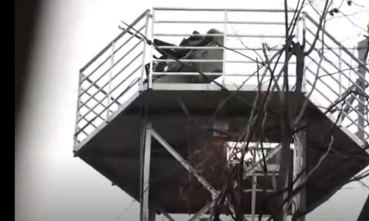 Ukraine’s Carmine Sky provides remote protection against Shaheds – Unmanned airspace Ukraine’s Carmine Sky provides remote protection against Shaheds – Unmanned airspace
