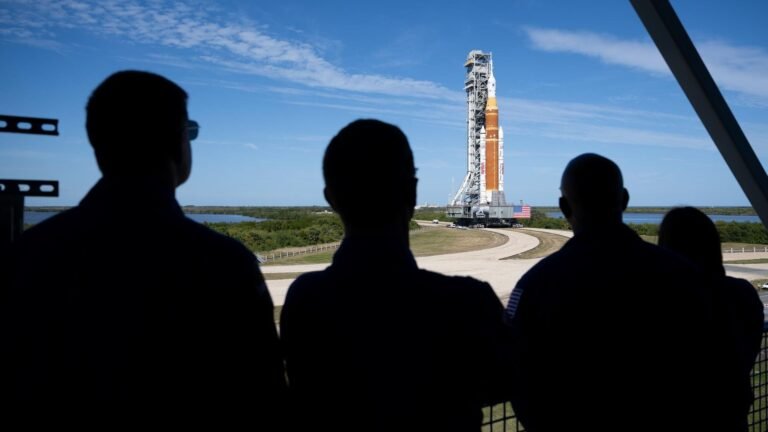 silhouettes of the back of four people looking at an orange rocket.