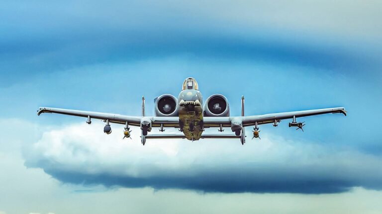 Why Does The US Air Force Still Rely On The A-10 Warthog?