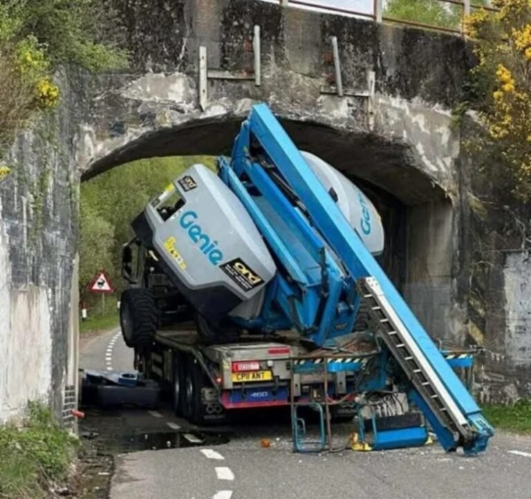 Bridge bashing | Vertikal.net Bridge bashing | Vertikal.net