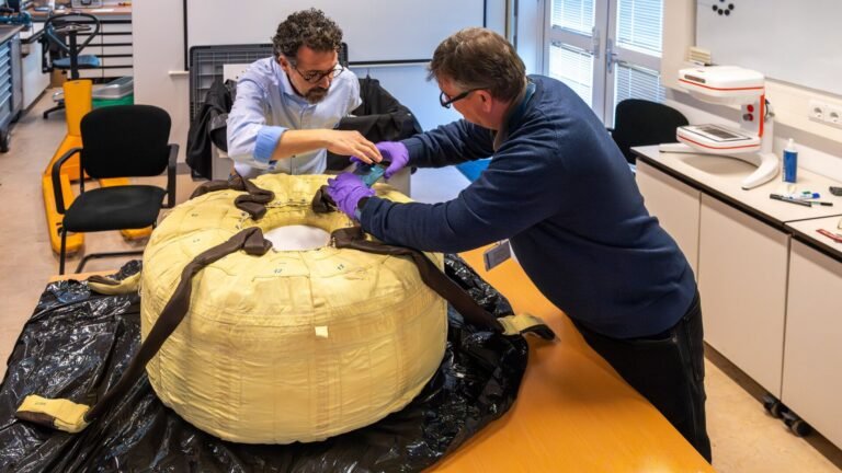 Is it cake? No, it's a parachute! photo of the day for May 1, 2026