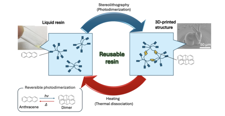 Recyclable resin using reversible photodimerization of anthracene, its use in stereolithography to create 3D objects, and regeneration of resin by heating. Image via Yokohama National University.