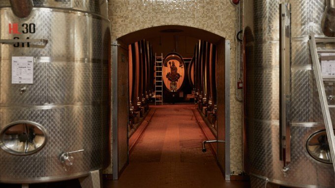 Why This Italian Pinot Noir From Alto Adige Could Lure Burgundy Lovers Why This Italian Pinot Noir From Alto Adige Could Lure Burgundy Lovers