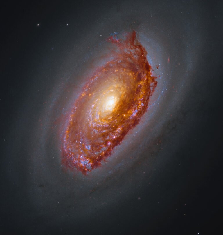 Black Eye Galaxy – NASA Hubble and Webb image of M64. A massive spiral galaxy glows with a yellow core, surrounded by arms full of orange-brown dust and pink and blue patches of star formation. Framed by a haze of dark dust, the galaxy shines against black space dotted with a few stars.