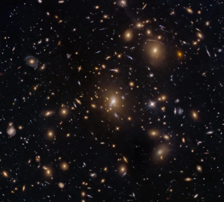 Hubble Sees Swarm of Galaxies Hubble Sees Swarm of Galaxies