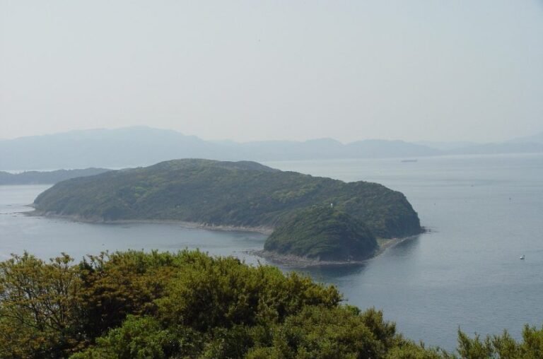 Japan seeks drone-enabled disaster response solutions – Unmanned airspace