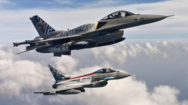 Kampfjets im Tiger-Look: Die fliegenden Raubkatzen der NATO in Aktion Kampfjets im Tiger-Look: Die fliegenden Raubkatzen der NATO in Aktion