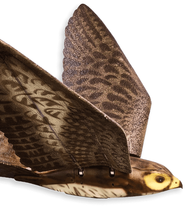 RoBird Expands to Crop Protection in Australia RoBird Expands to Crop Protection in Australia