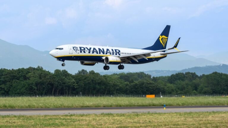 Ryanair Blasts Europe's Push For Free Cabin Bags On Every Flight