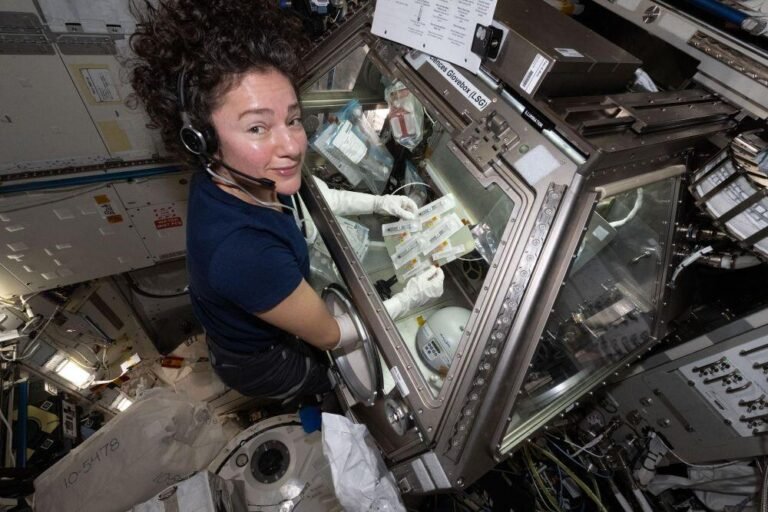 SpaceX Cargo Dragon Departs Space Station With Science Research NASA astronaut Jessica Meir prepares samples in the Life Sciences Glovebox to study how weightlessness affects crew blood clotting and immune function for the Megakaryocyte Flying-One investigation. NASA