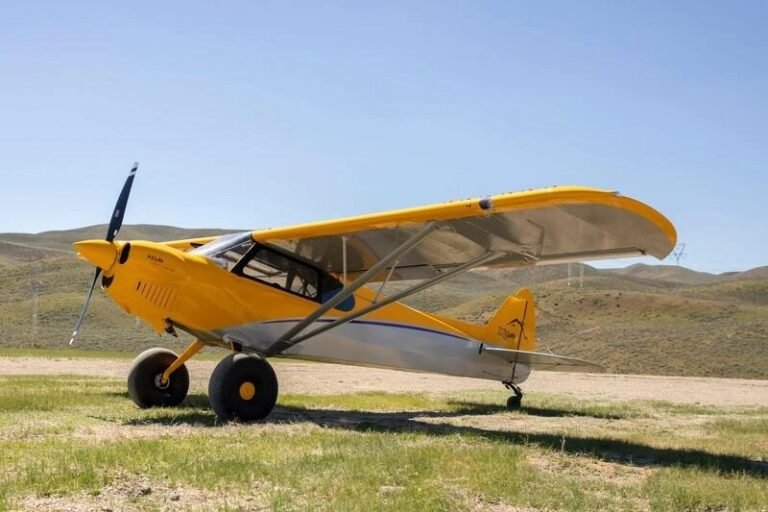 2022 CubCrafters XCub [Credit: Aerista]