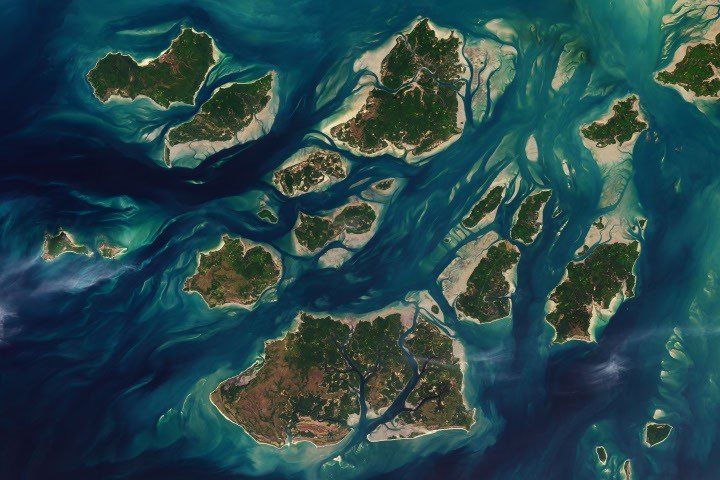 A Tide-Fueled Trove of Biodiversity in Guinea-Bissau A Tide-Fueled Trove of Biodiversity in Guinea-Bissau
