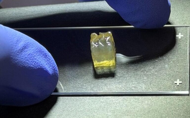 Auxilium Prints Kidney, Liver And Cartilage Tissues On ISS ioscience technologies are a major driver of interest in developing private space stations and reentry capsules. Credit: Auxilium Biotechnologies