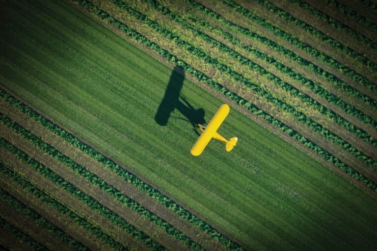 A J-3 Cub enjoys a grass strip among a field of crops in Wisconsin. [Credit: Jim Stevenson]