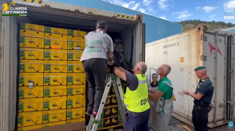 Banana shipment from Ecuador to Europe concealed $290 million in cocaine Banana shipment from Ecuador to Europe concealed $290 million in cocaine