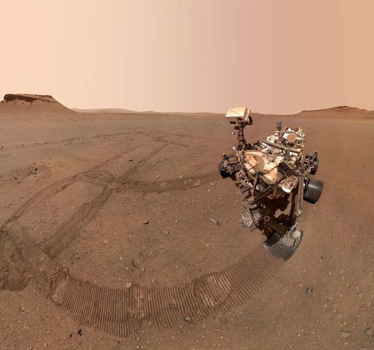 Perseverance Rover