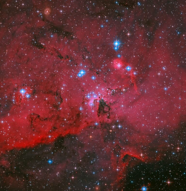 NASA’s Hubble Captures Crimson Cloud Sparkling with White, Blue Stars NASA's Hubble Captures Crimson Cloud Sparkling with White, Blue Stars