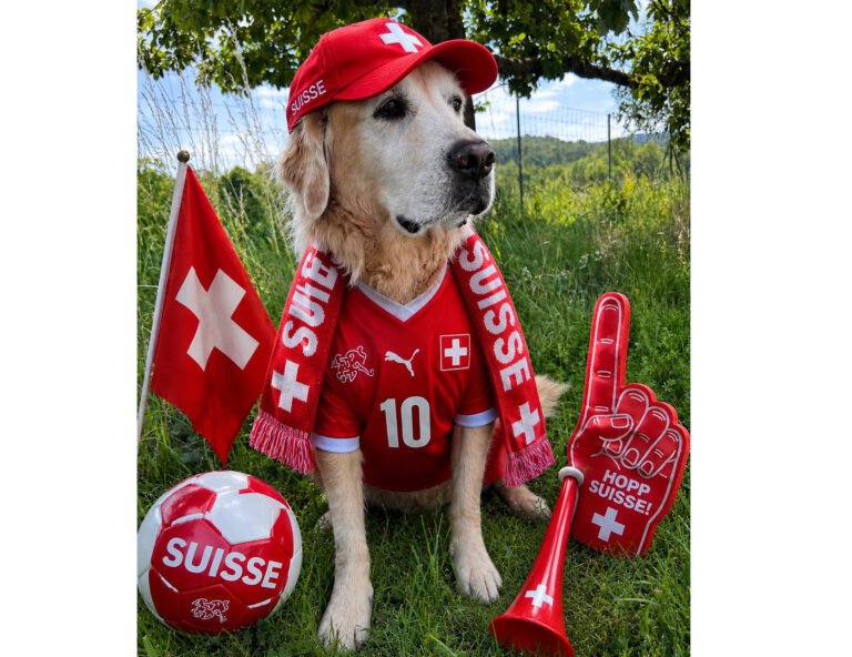 Rooting for Switzerland | Vertikal.net