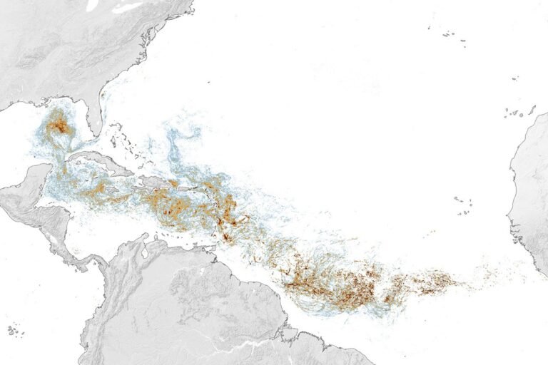 Sizing Up the Sargassum Belt - NASA Science