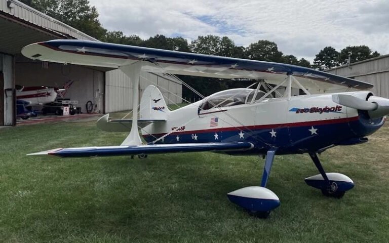 1994 Steen Skybolt 250 [Credit: Rich D]