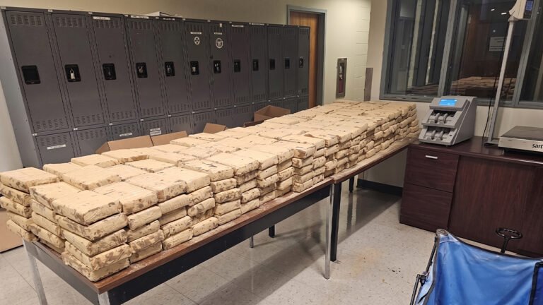 $20M in cocaine found beneath floorboards of commercial truck trailer at California border $20M in cocaine found beneath floorboards of commercial truck trailer at California border