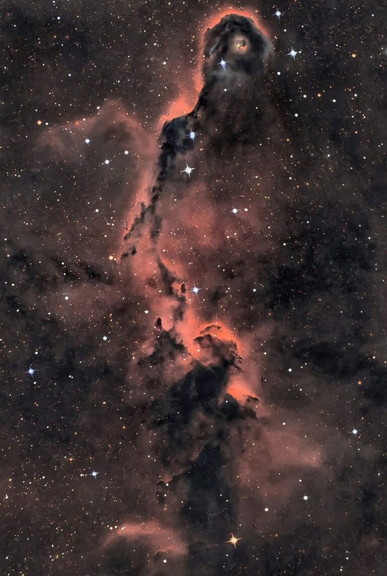 APOD: 2026 August 20 – The Elephant’s Trunk in Cepheus APOD: 2026 August 20 - The Elephant's Trunk in Cepheus