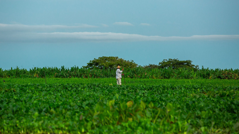 Colombia boosts climate resilience with parametric insurance :: Insurance Day Colombian farmer