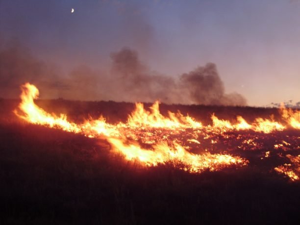 Drone Incursions Disrupt Wildfire Response Across the West Drone Incursions Disrupt Wildfire Response Across the West