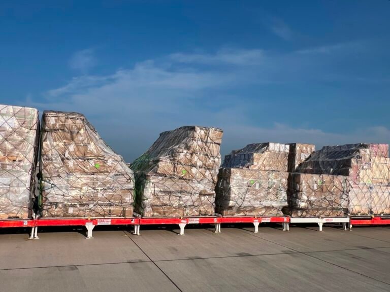 E-commerce forwarder to launch China-US freighter operation E-commerce forwarder to launch China-US freighter operation