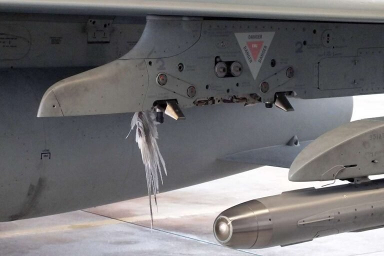 Germany uses radar to warn military aircraft of birds