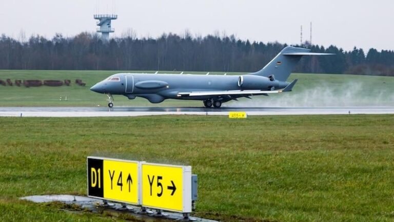Hensoldt Sees Pegasus Export Talks In Europe pegasus taking off