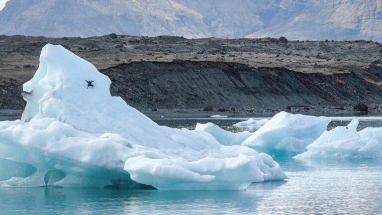 Ice Dart Drone Uses Cat-Inspired Claws to Land on Ice