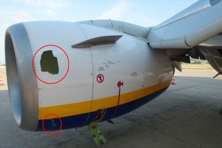 Malt Air engine damage