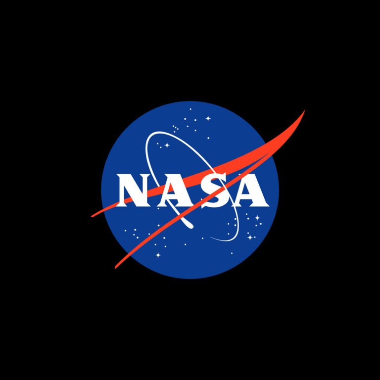 NASA insignia