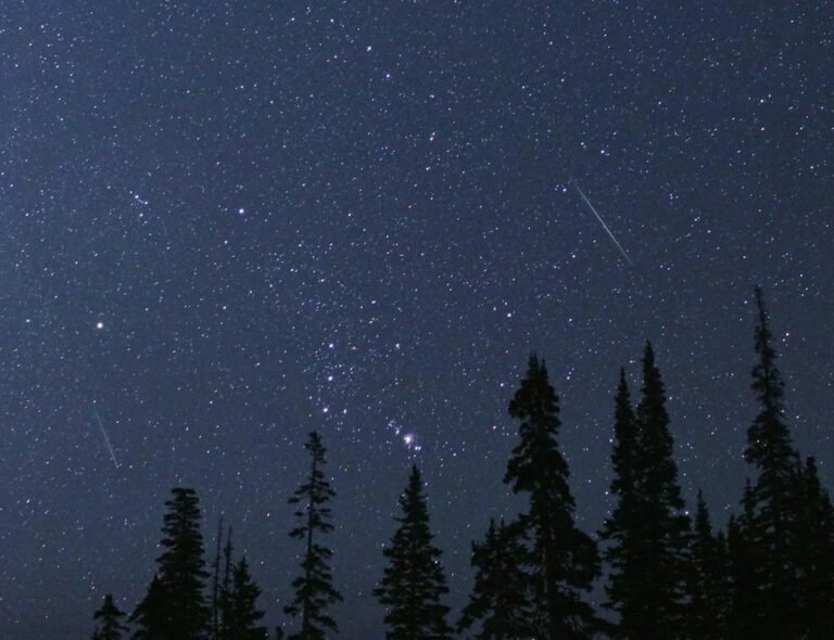 Perseids Meteor Shower – NASA The night sky is filled with stars. Looking toward the bottom left and top right, two streaks are visible. These are meteors. Between the two streaks is the constellation Orion. The bottom of the image is lined with the silhouette of treetops.