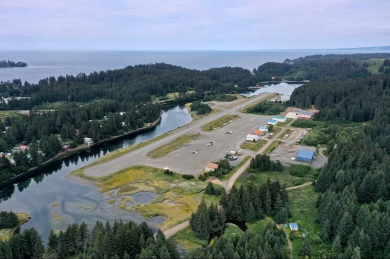 Seldovia Alaska airport