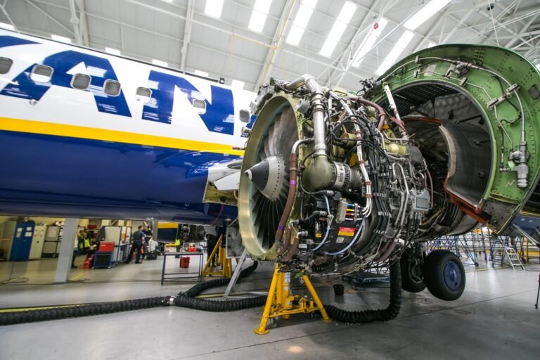 Ryanair 737 engine had five suspected bird strikes